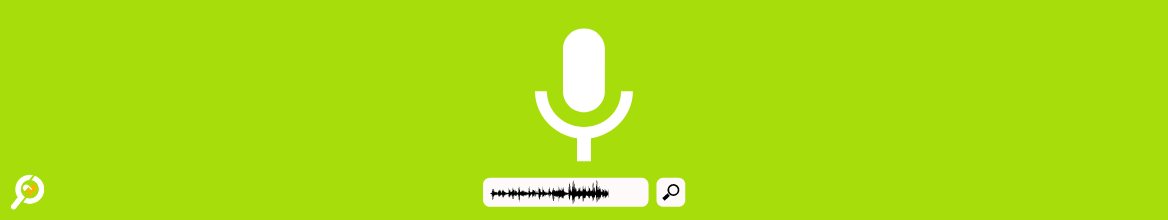 voice search en seo